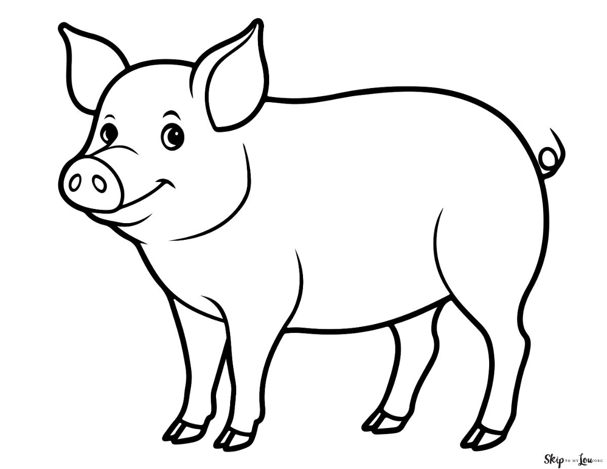 simple line drawing of a pig