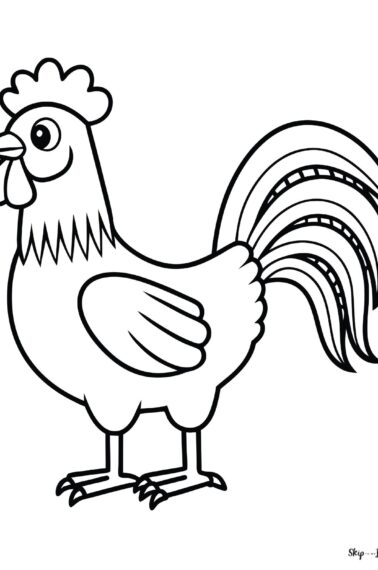 Rooster simple drawing