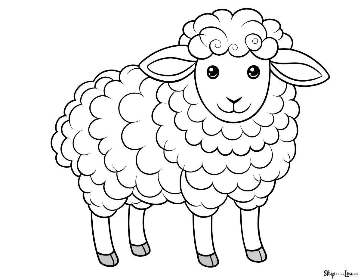 fluffy sheet illustration