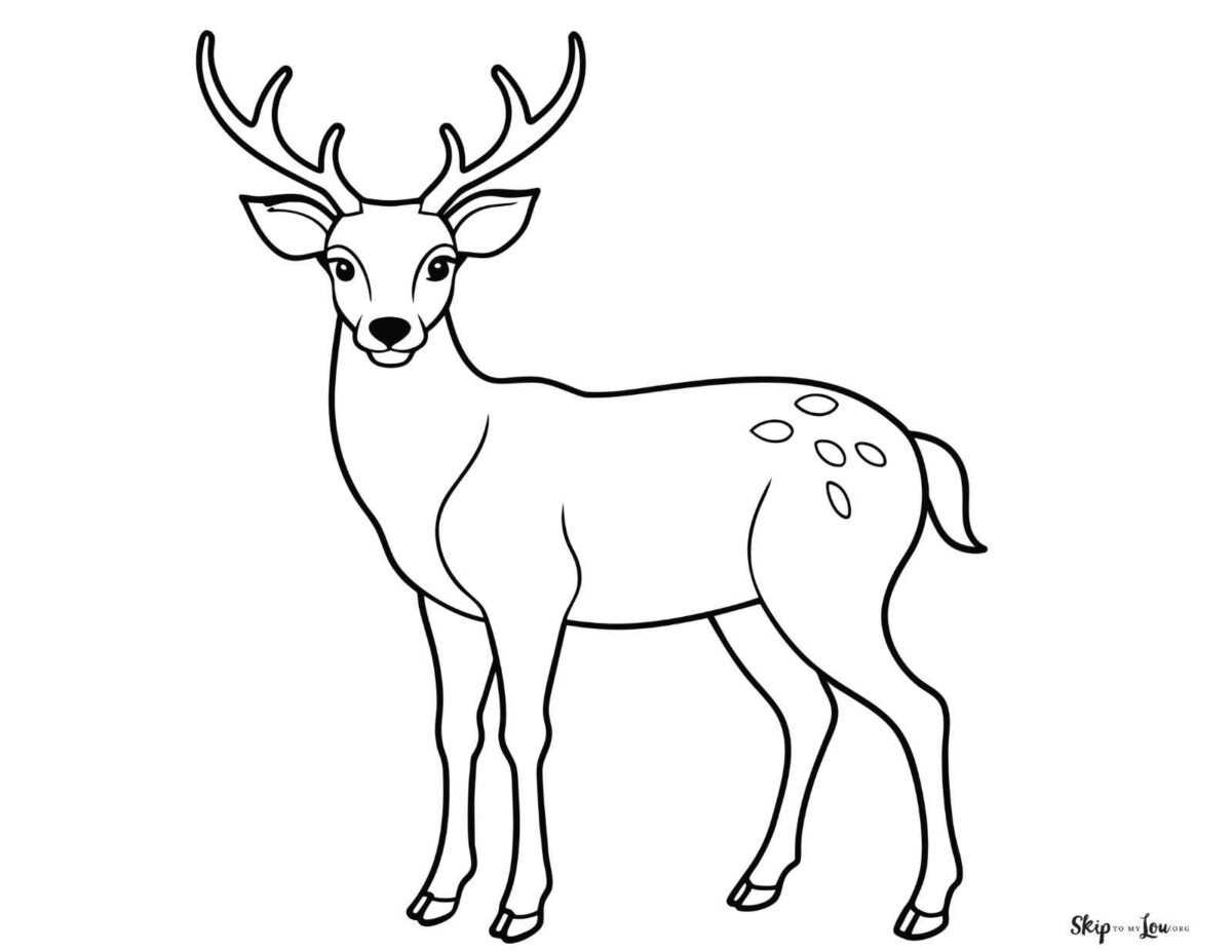 deer with antlers coloring page