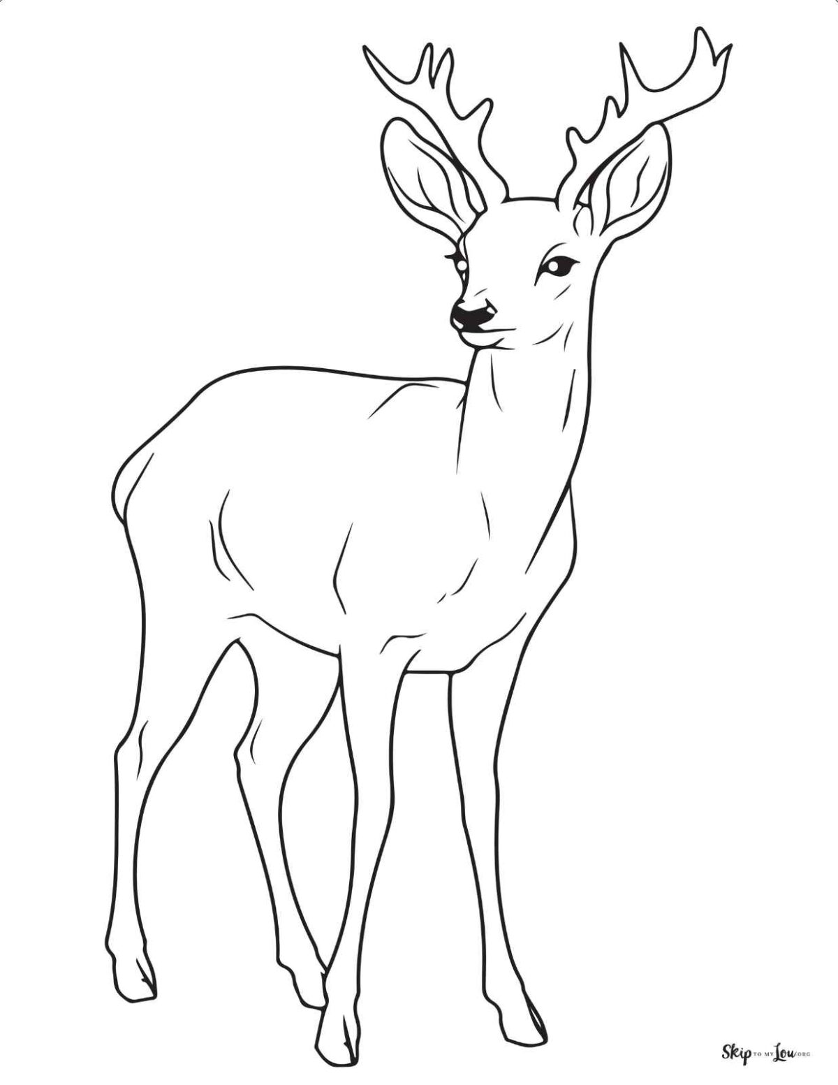 simple standing deer illustration coloring page