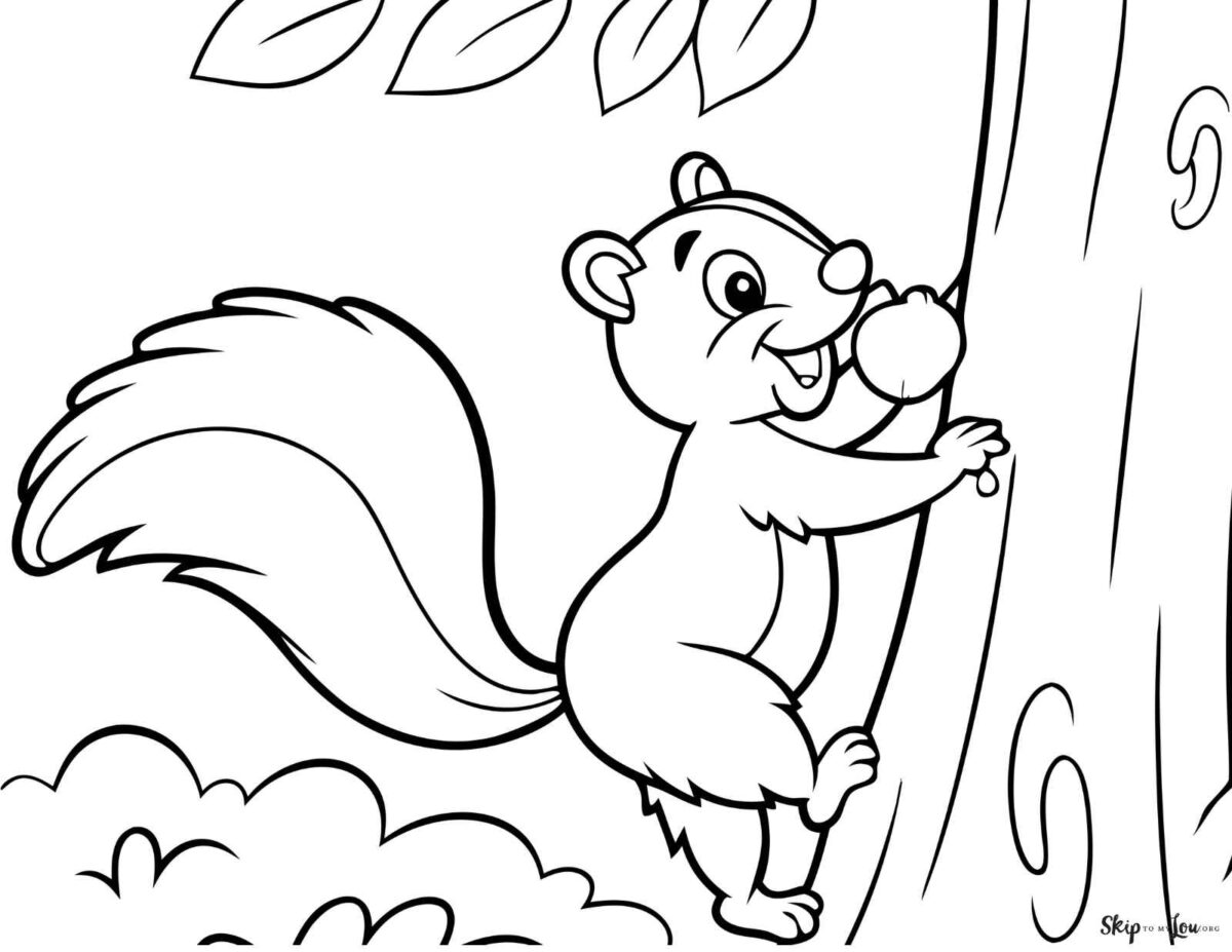 squirrel climbing up tree