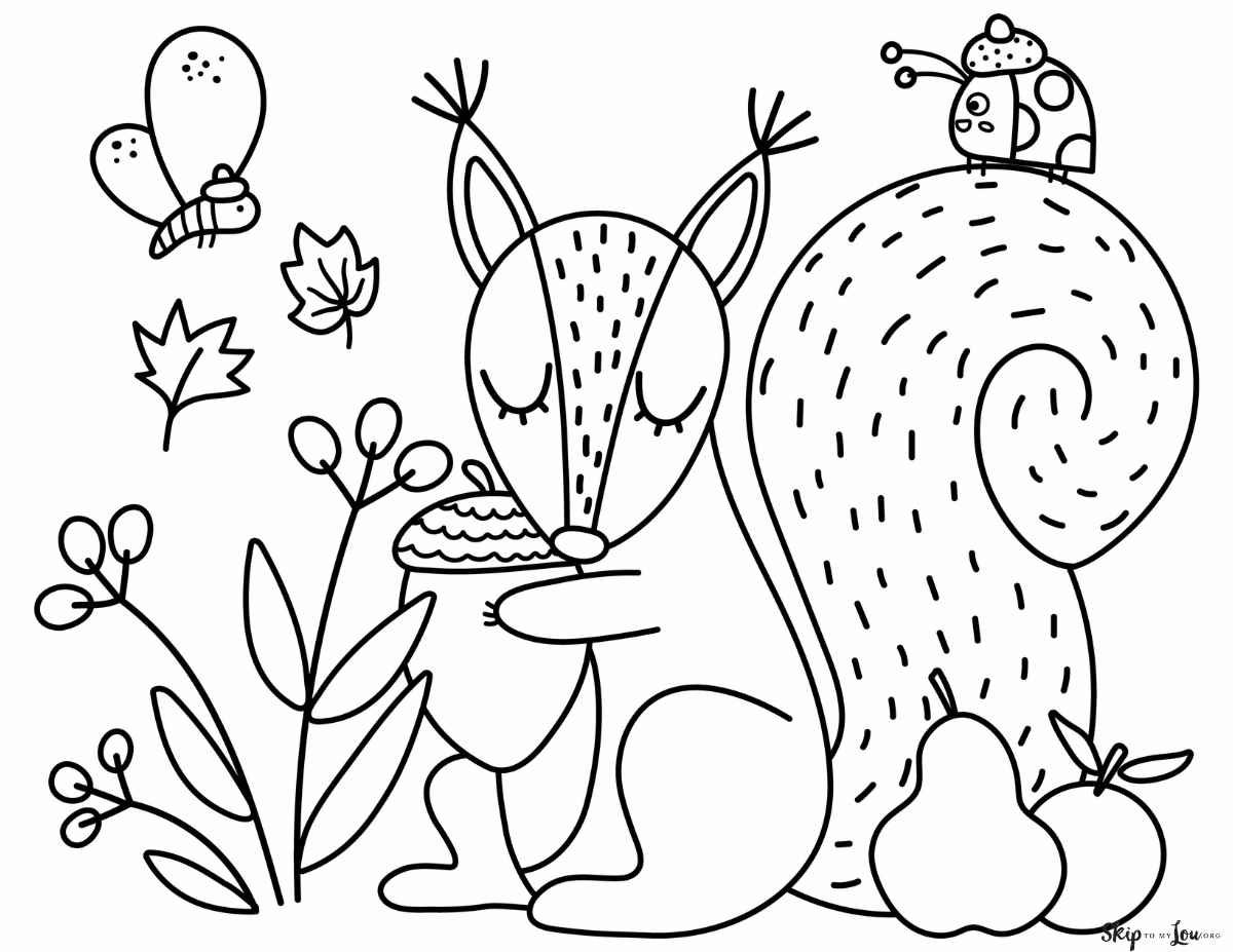 squirrel with acorns