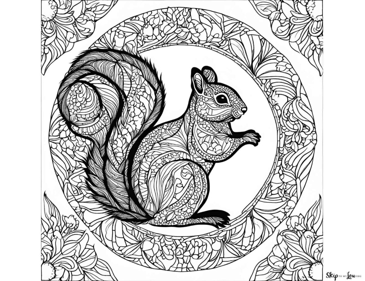 squirrel mandala