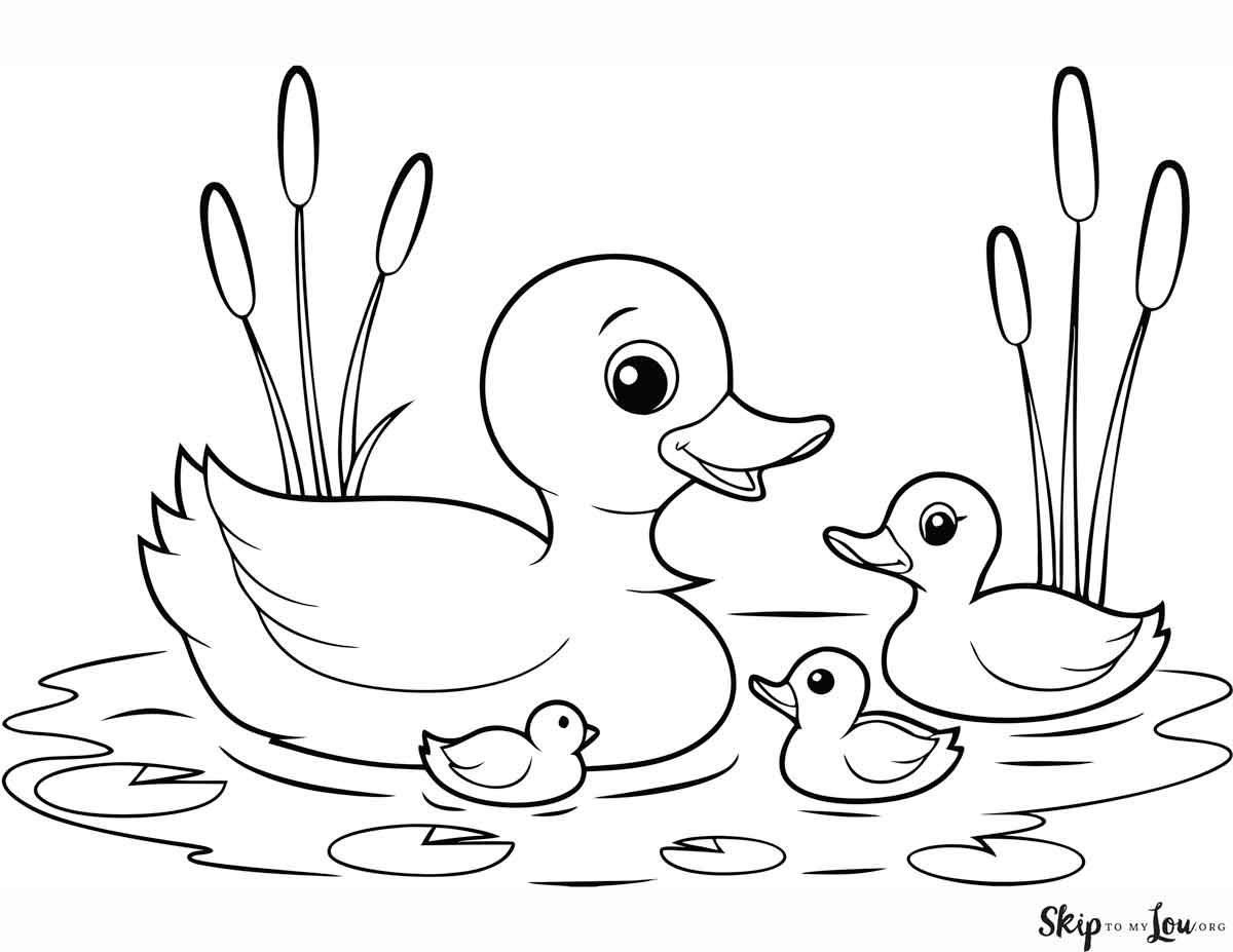 swimming duck family coloring page