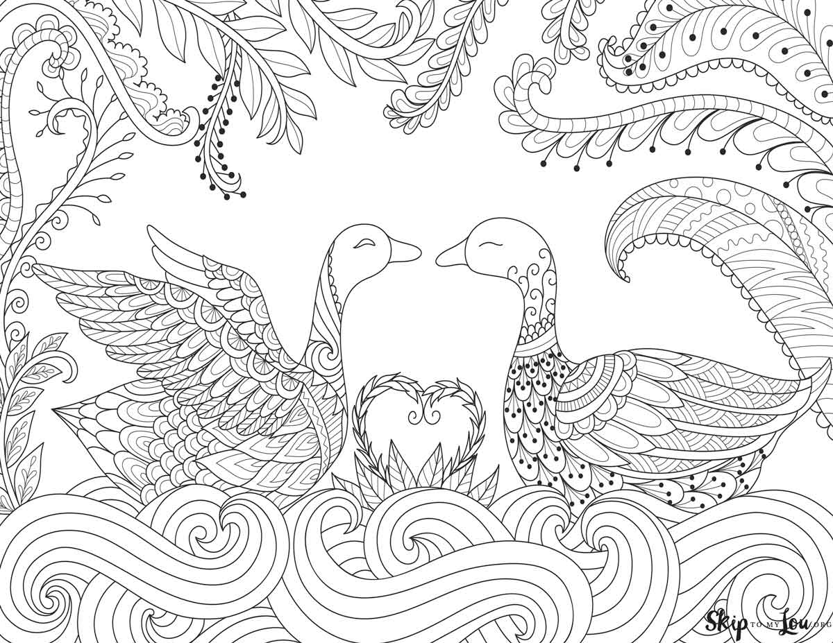 zen doodle ducks