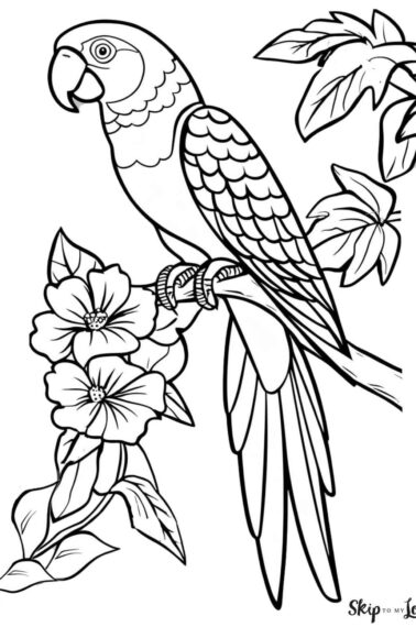 parrot on branch with flowers