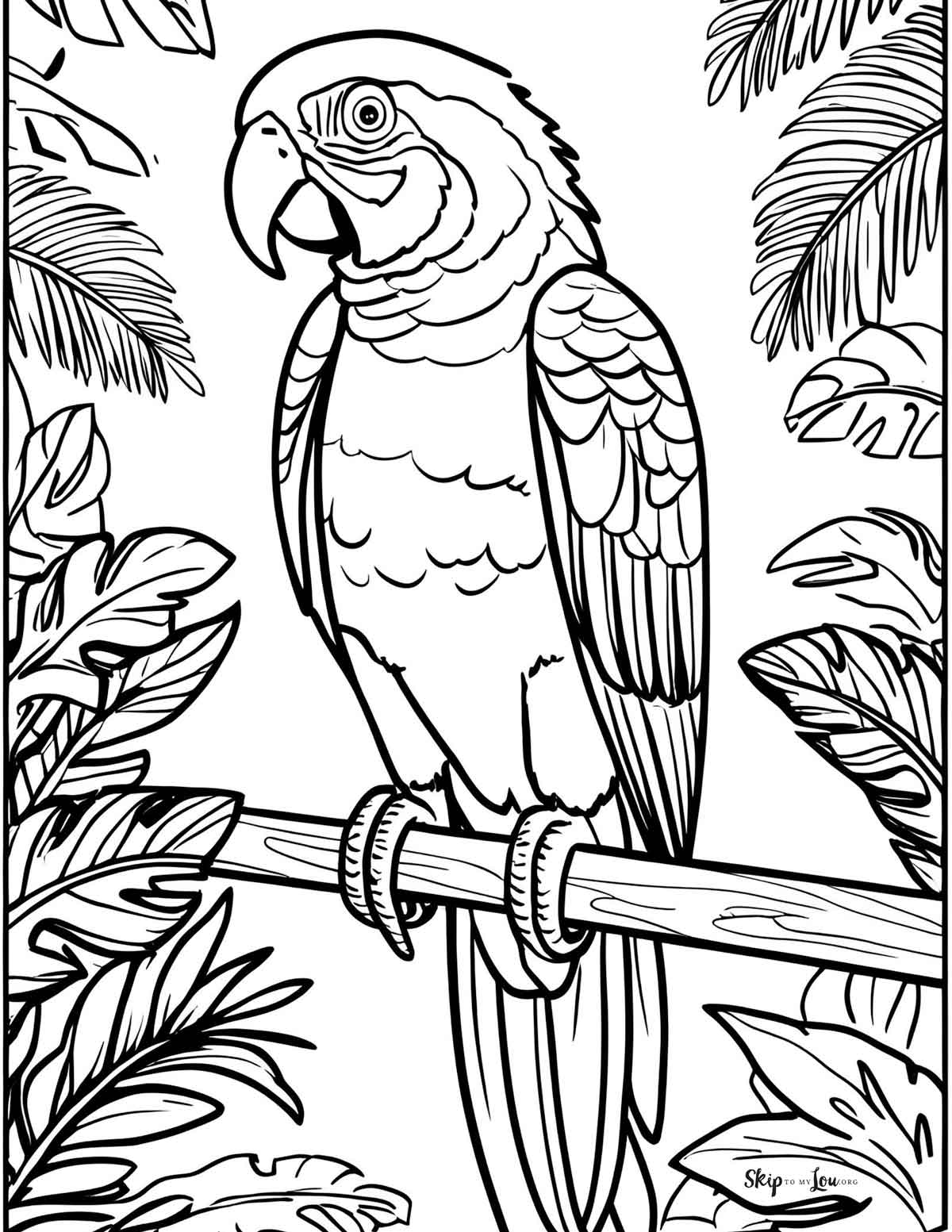 parrot on branch in jungle