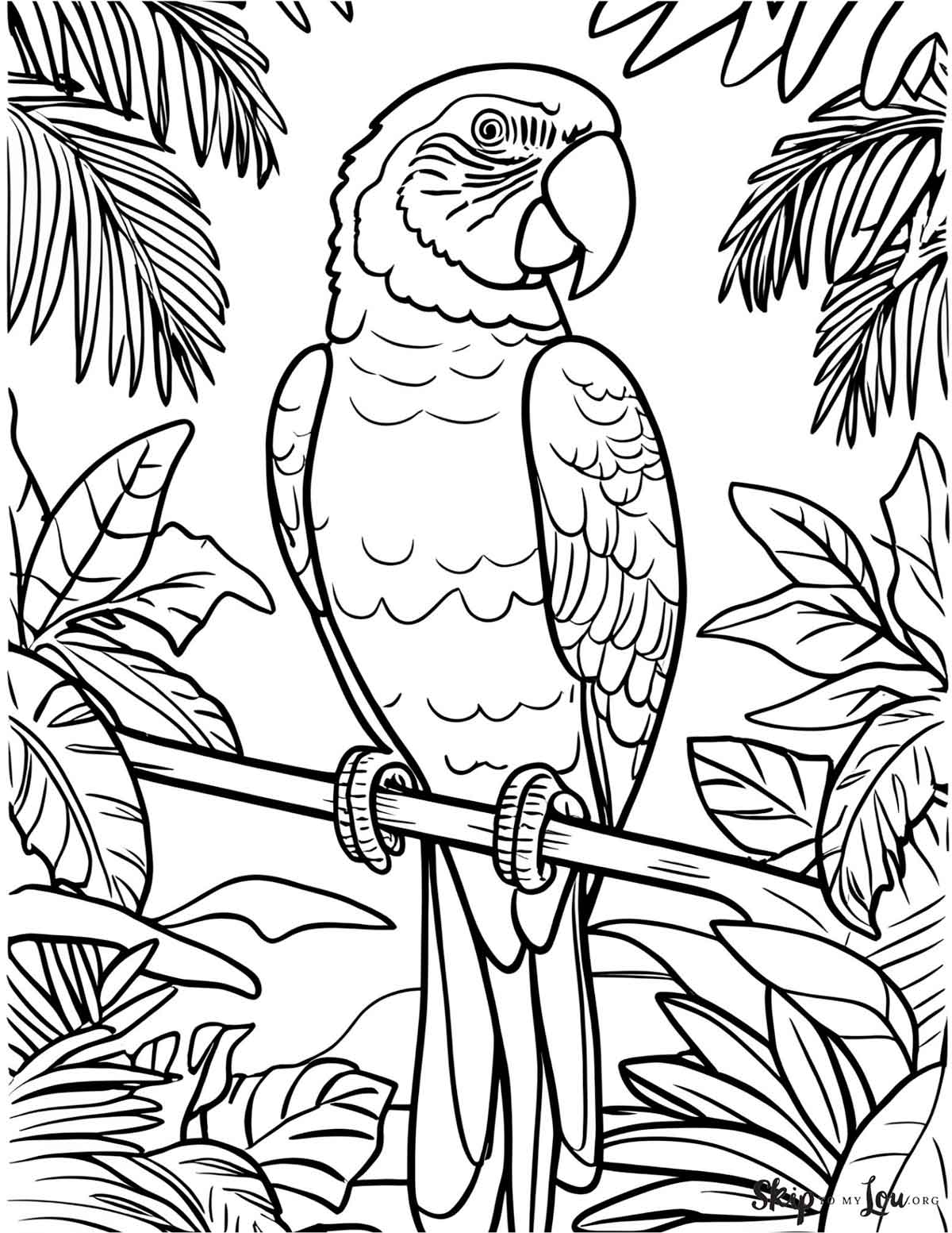 parrot on branch in tropics
