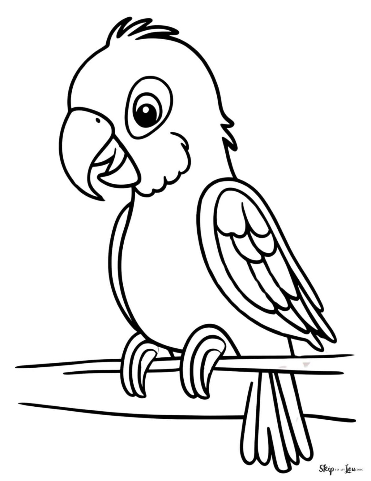 simple parrot coloring page