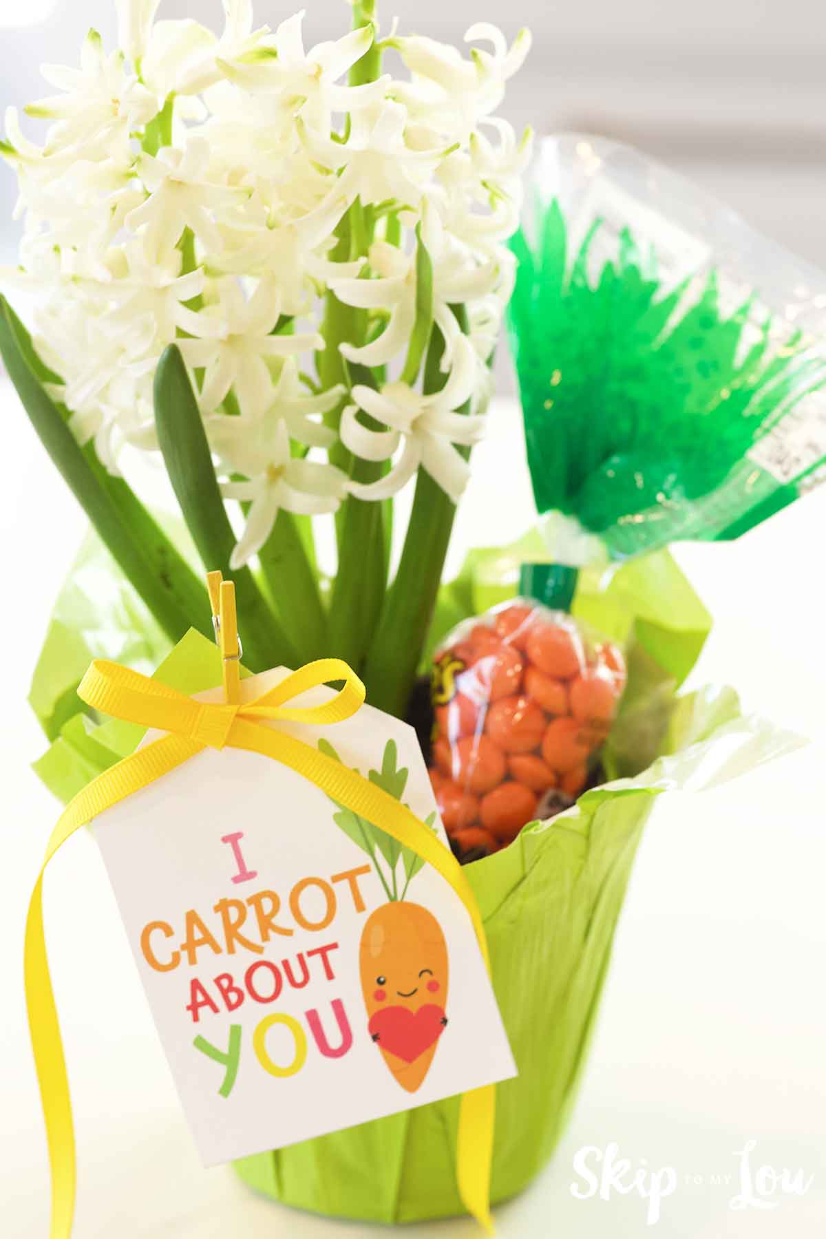 hyacinth in platter with candy carrot and gift tag that says I carrot alot about you