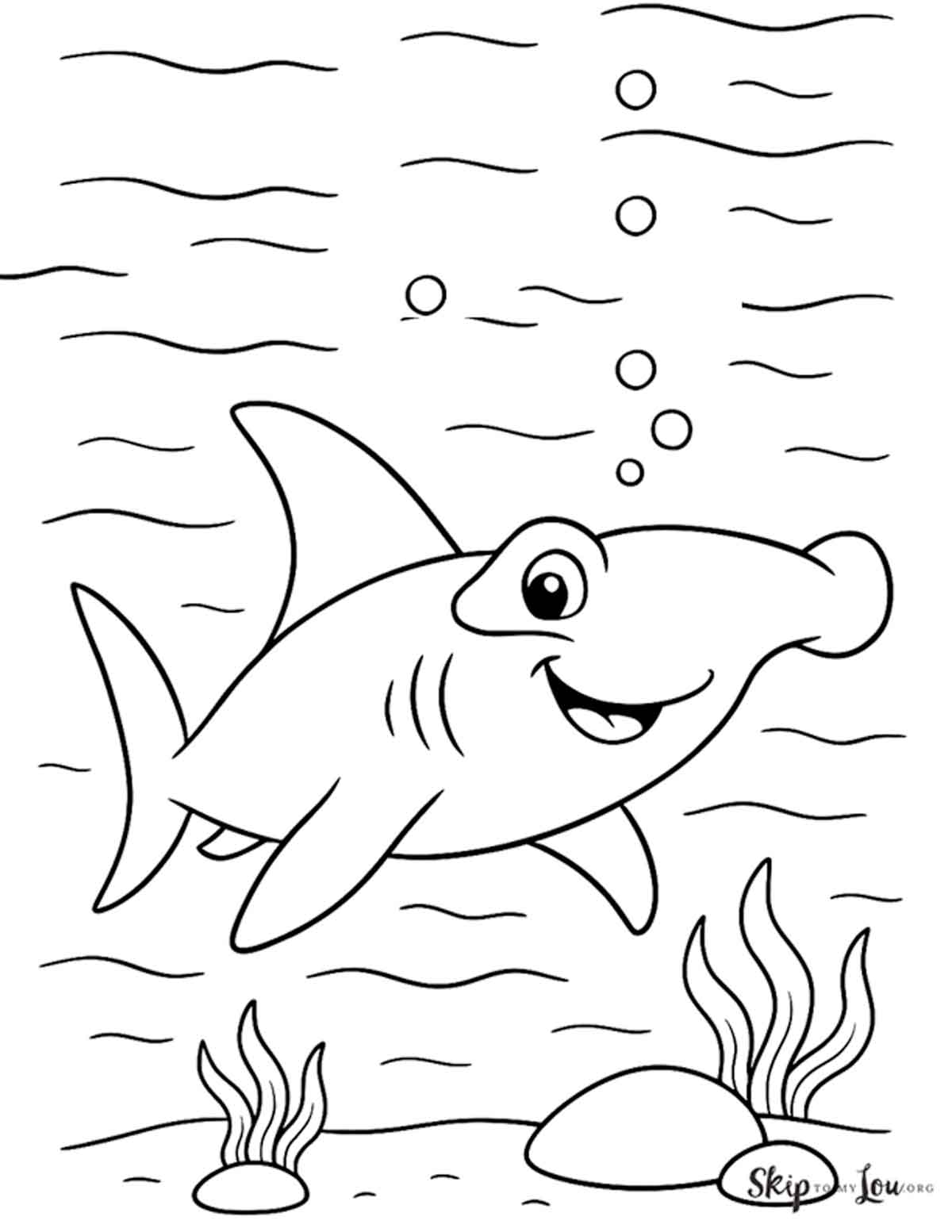 friendly hammerhead shark