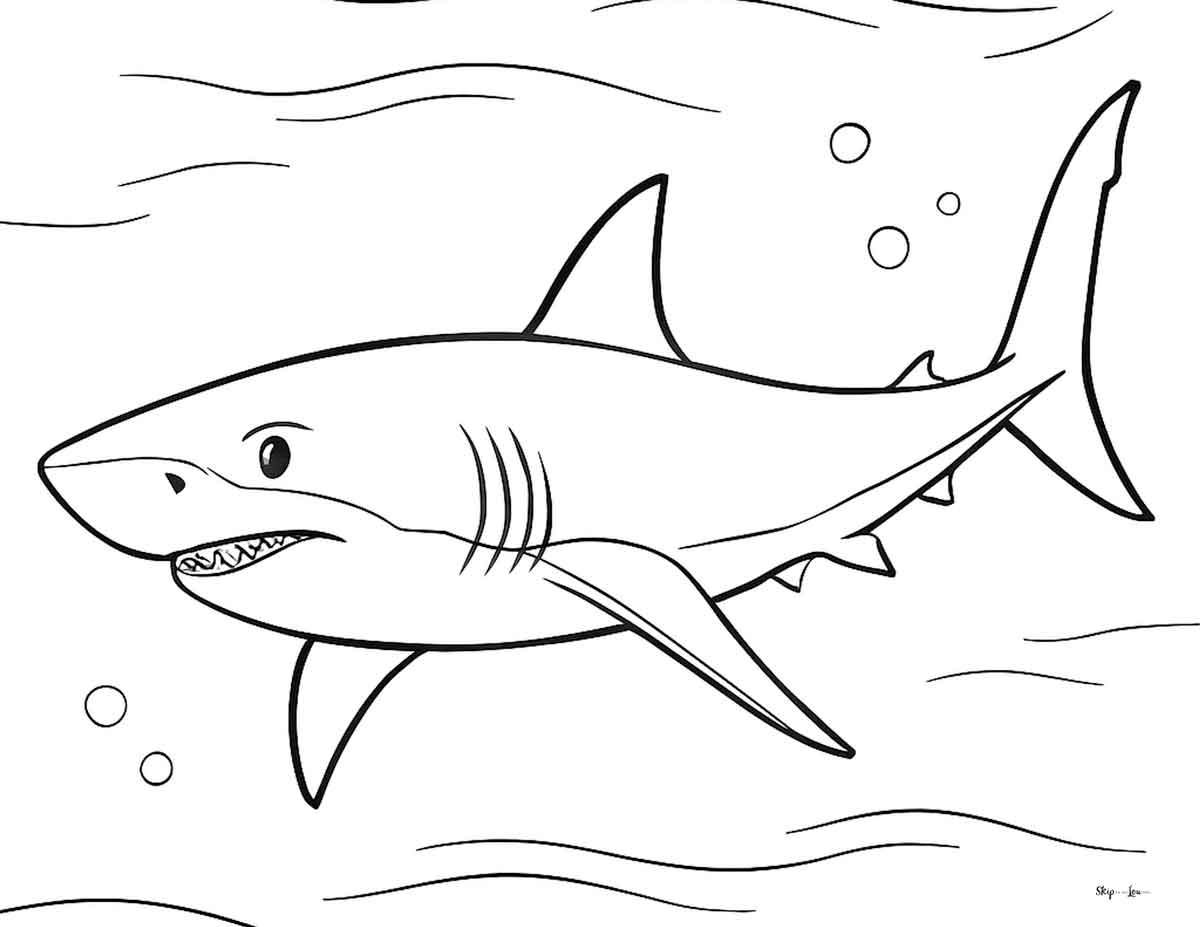 Great white shark swimming in the ocean coloring page