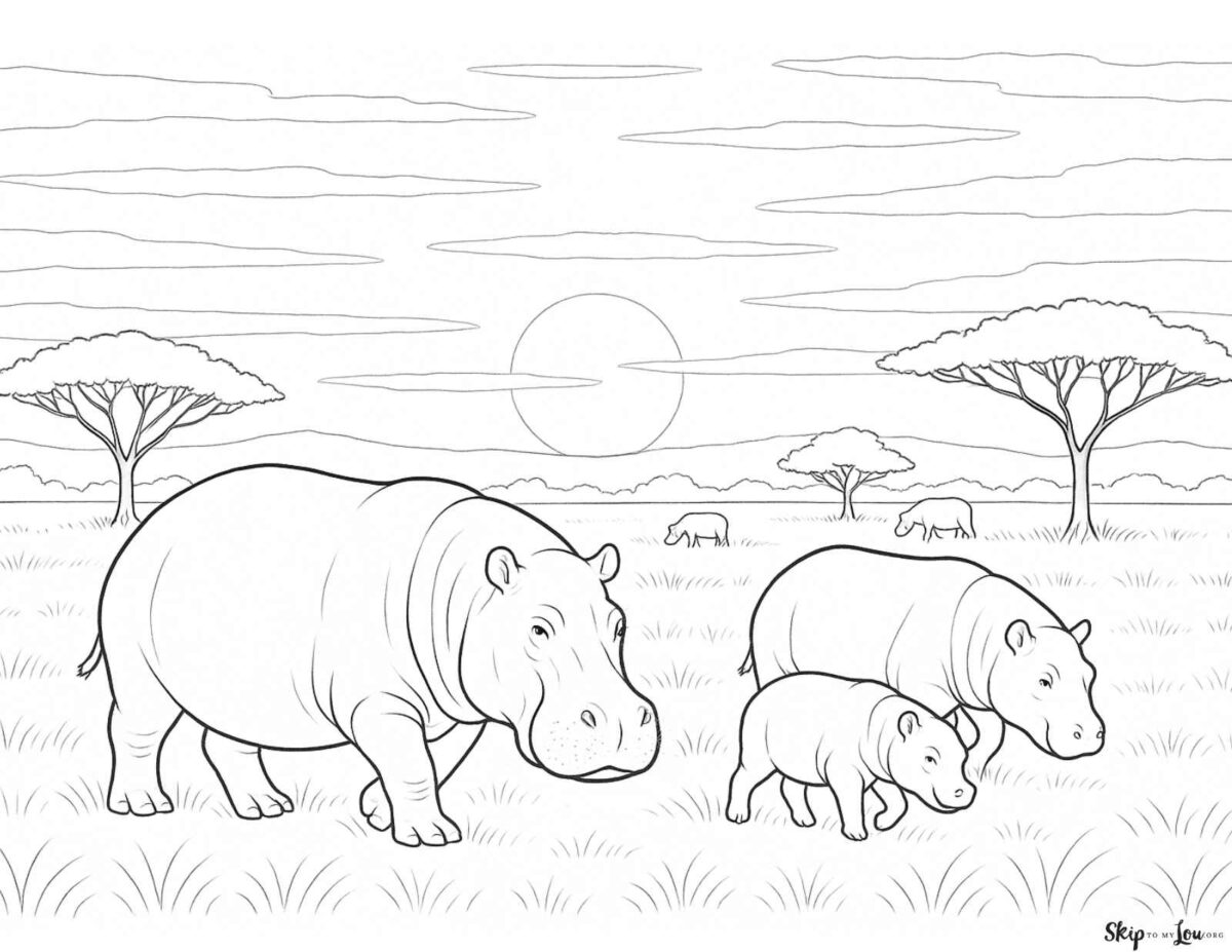savanah sunset hippo coloring page