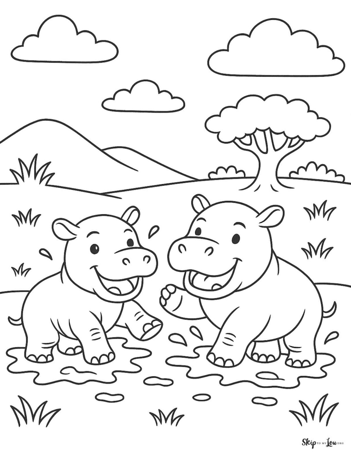 baby hippos playing in the mud