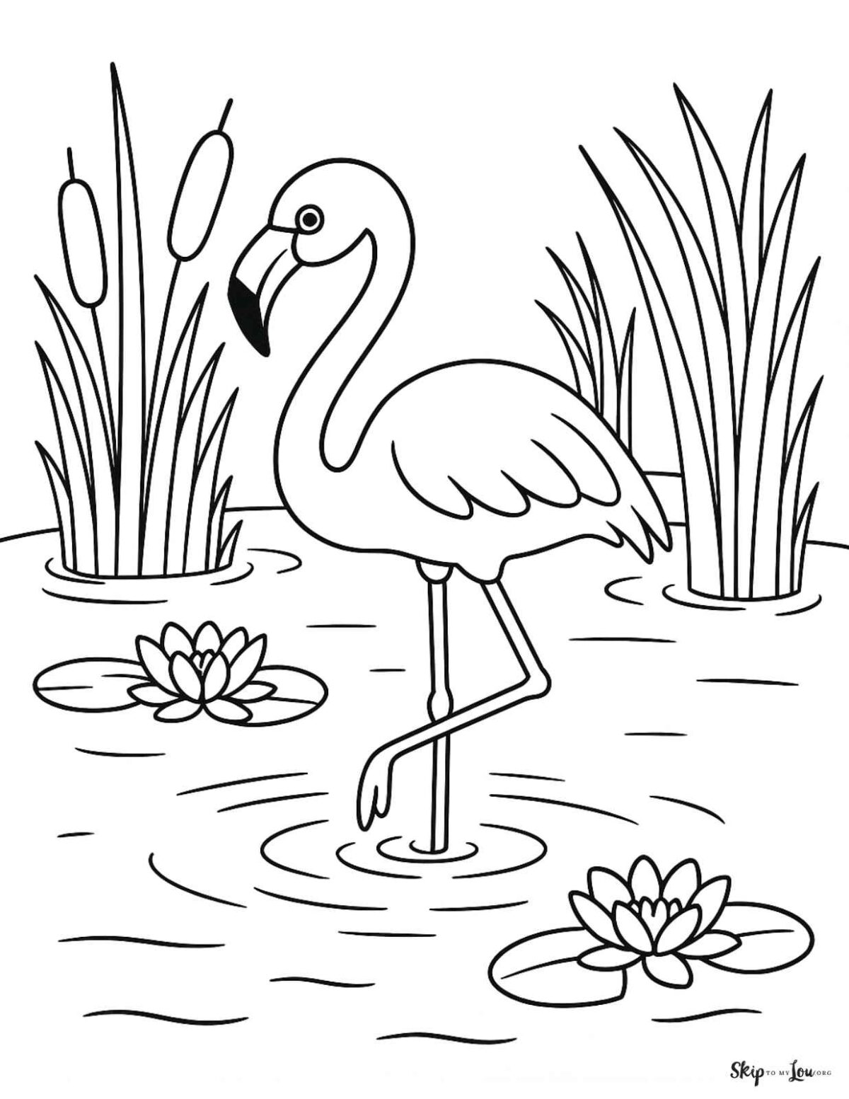 flamingo standing in water with lily pads