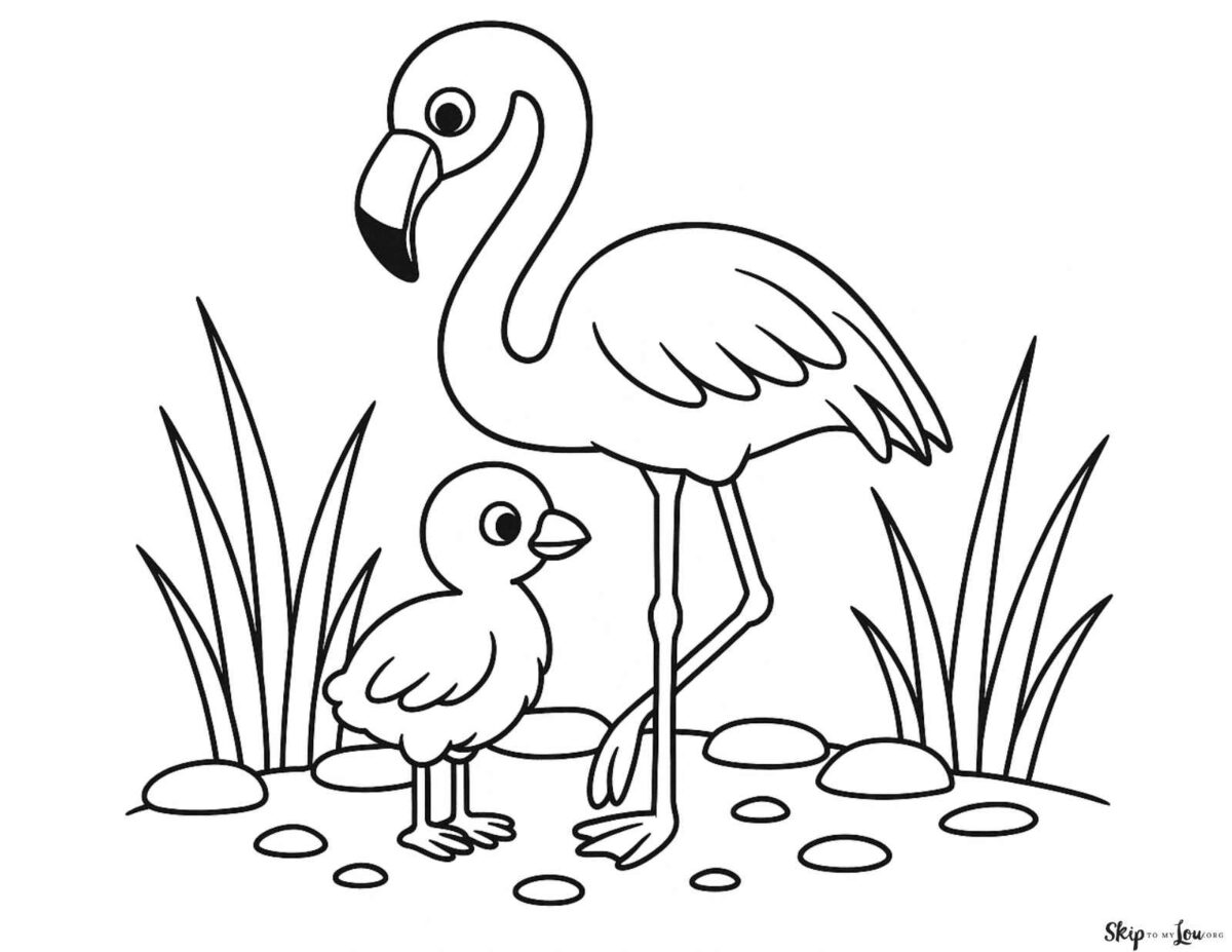 momma flamingo with her baby