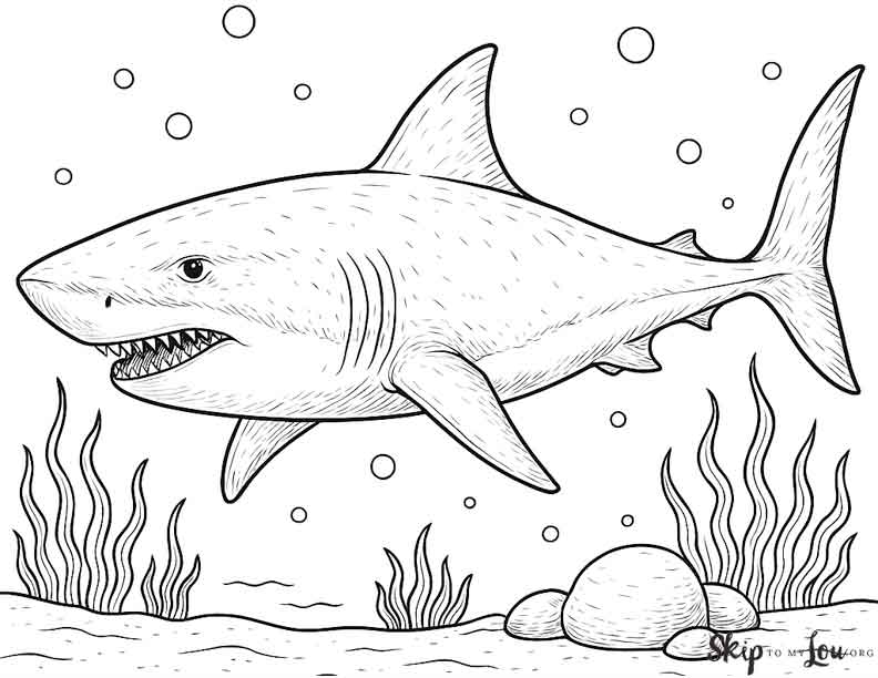 realistic great white shark