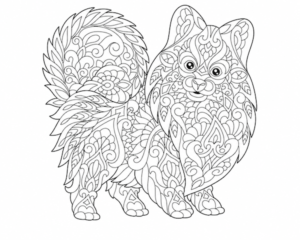 Dogs coloring pages