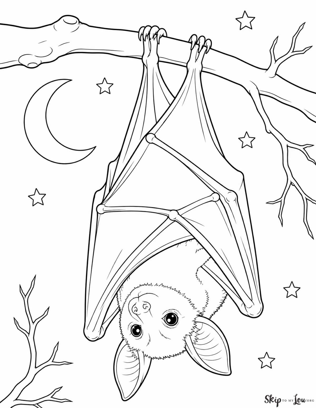 Realistic bat coloring page with a bat hanging upside down from a tree branch with simple stars and moon
