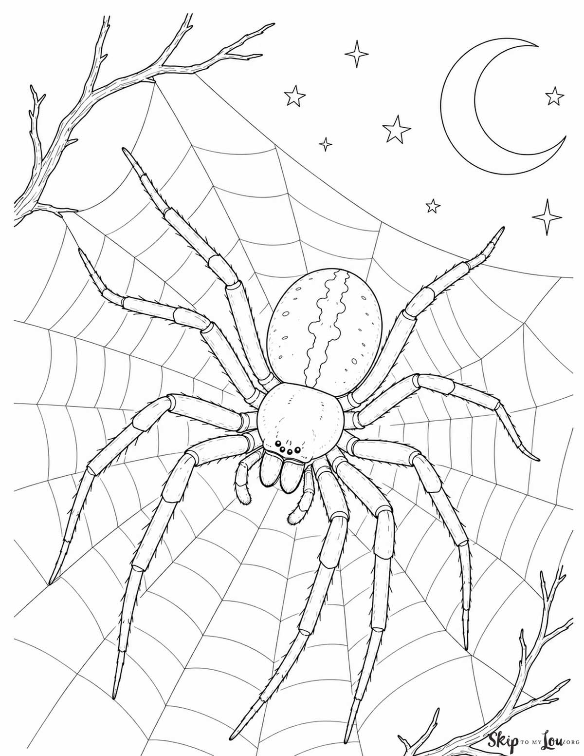 Realistic spider coloring page with a detailed spider sitting on a large web under a crescent moon