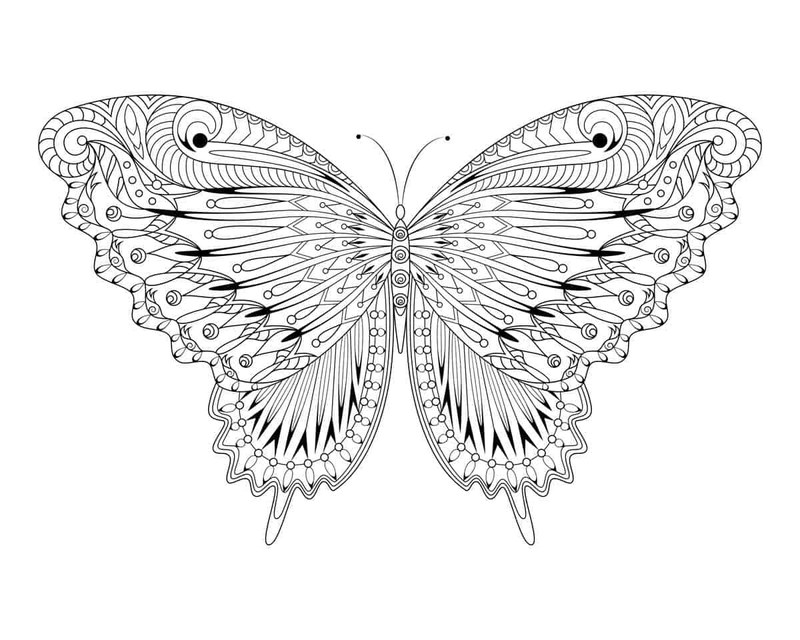 Detailed butterfly coloring page with patterned wings