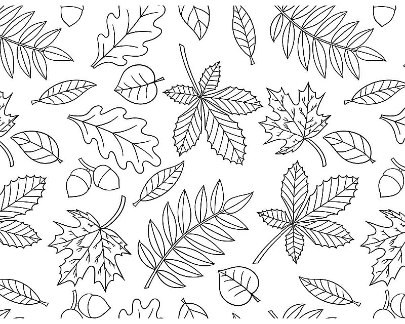 Fall leaves coloring page with acorns and autumn leaves